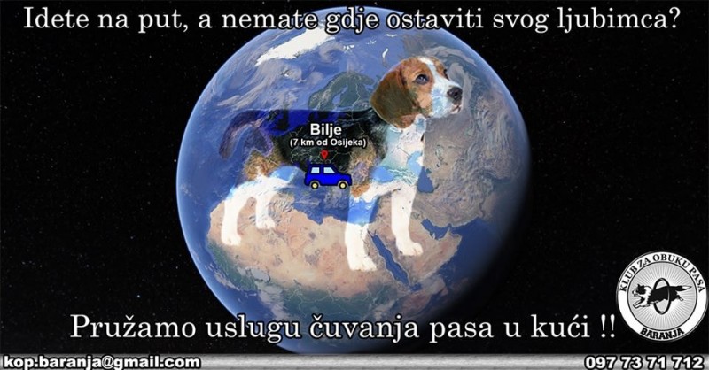 čuvanje pasa osijek
