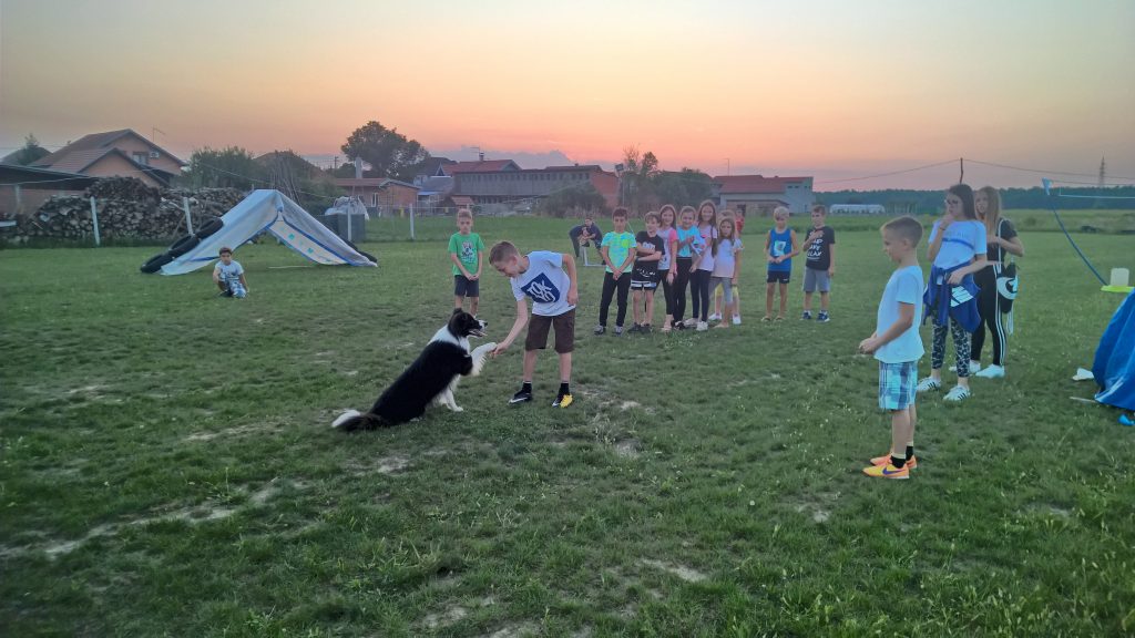 škola za pse osijek