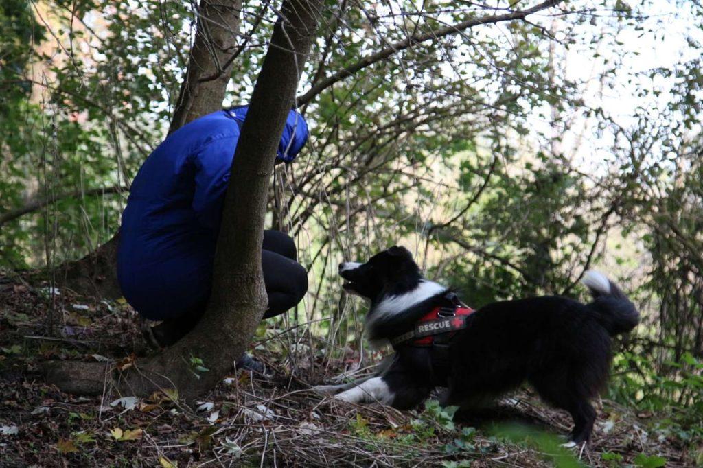potražni psi hrvatska