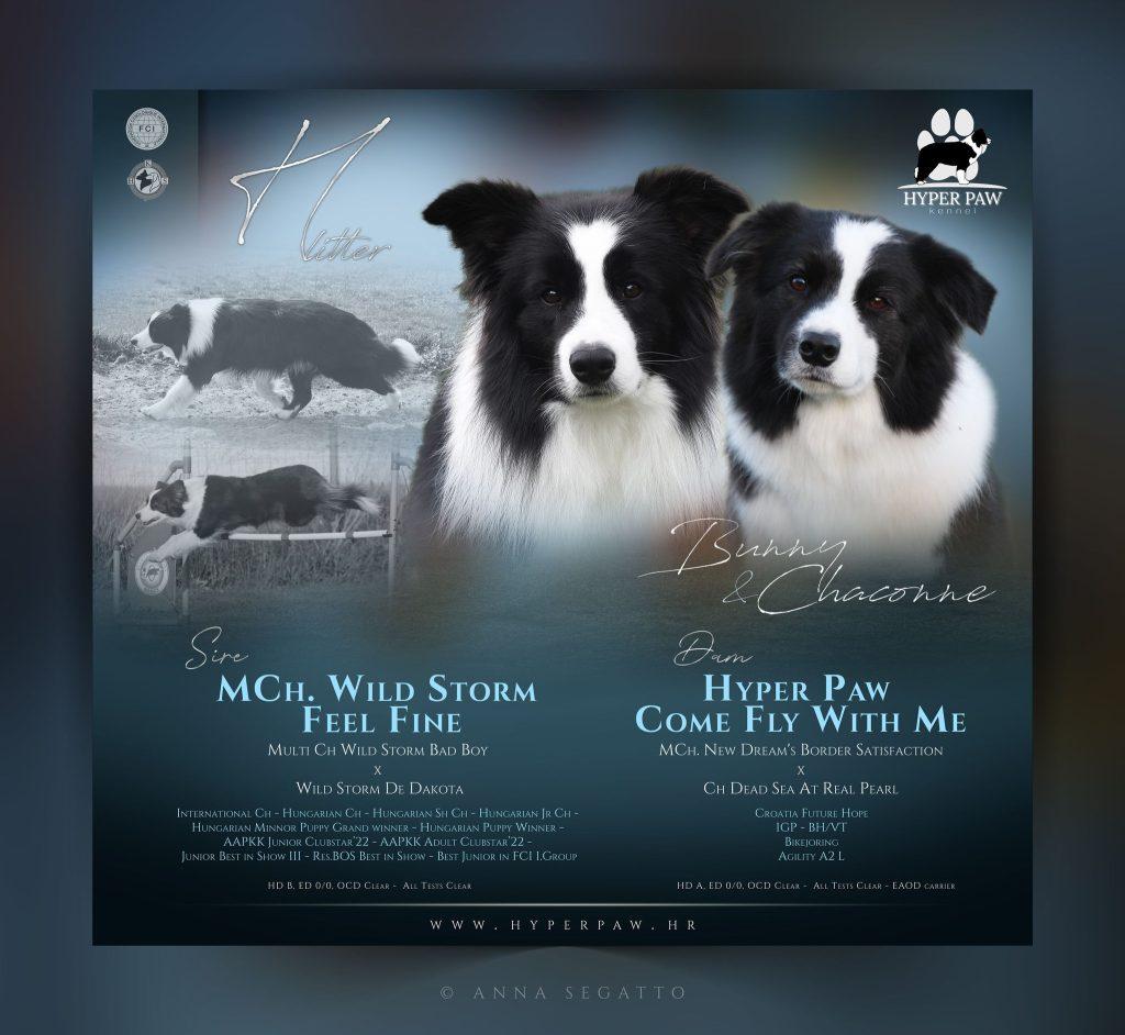 Hyper Paw High Drive